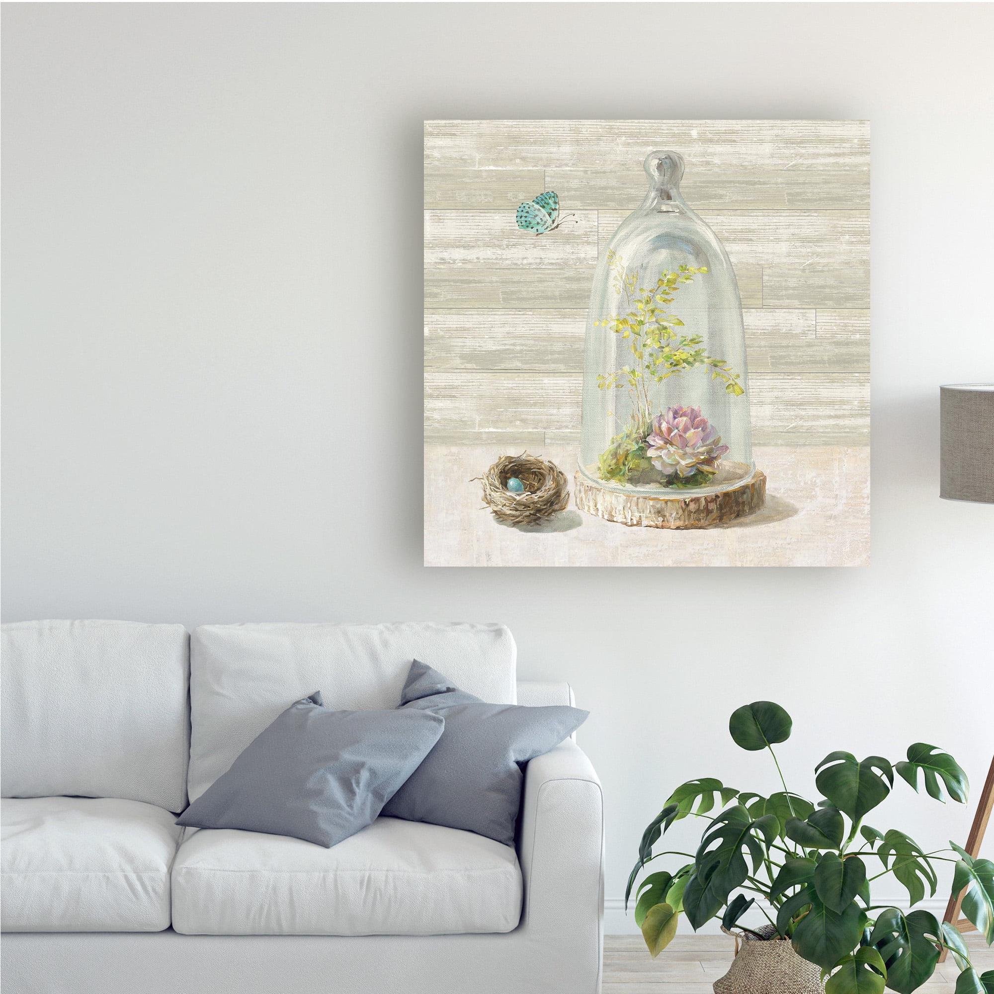 Trademark Fine Art 'Succulent Garden III' Canvas Art by Danhui Nai