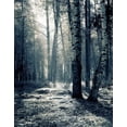 thumbnail image 1 of BSDHOME Toile de Fond en Polyester pour Photographie d'Arbres Nature 5x7ft, 1 of 2