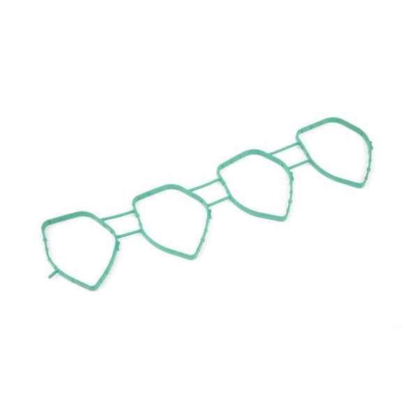 Intake Manifold Gasket