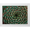 thumbnail image 3 of Vitaly Geyman 14x11 White Modern Wood Framed Wall Art Titled - Floral Labyrinth II Color, 3 of 5