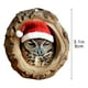 thumbnail image 3 of Adornos Navideños de Animales, Colgantes Planos de Acrílico Impresos En 2D | Adornos para Árbol de Navidad con Búho y Mapache | Adornos Colgantes Duraderos con Cuerda | Decoración Navideña para Árbol, 3 of 5