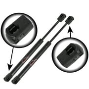 Qty 2 10Mm Nylon End Lift Supports 15" Extended 15Lbs. Gas Shock - Lift Supports Depot SX150P15-a