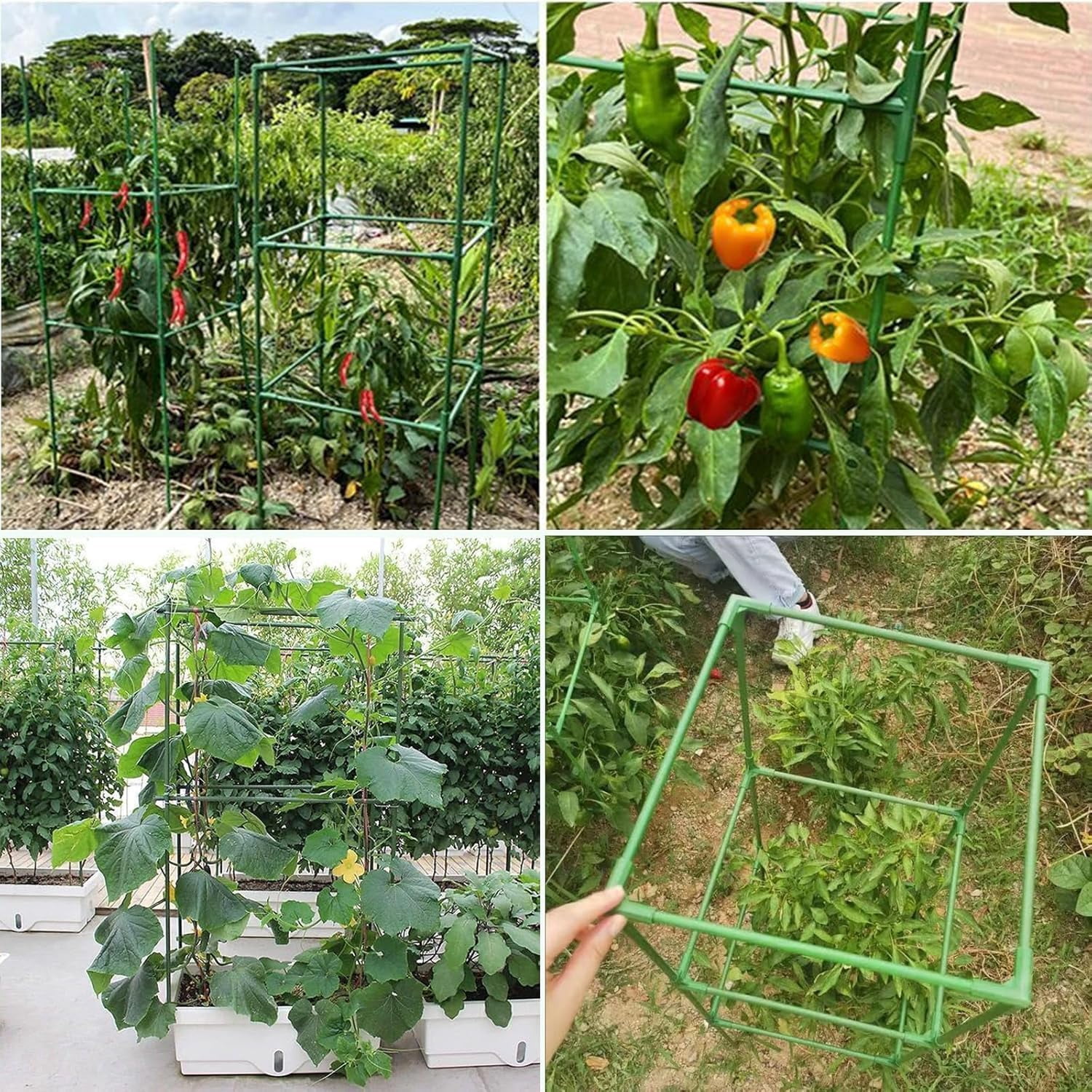 MQHUAYU 6 Pack Green Square Tomato Cages, 41.7" Heavy Duty Plant Support Cages with 20 Plant Clips, Plastic-Coated Steel Rust-Resistant Trellis for Garden Climbing Vegetables, Flowers and Fruits