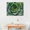 thumbnail image 2 of Orinice Flowers Fine Art Aesthetic Poster & Print Wall Painting for Home Office Decor Canvas Prints Living Room Bedroom 16x12in, 2 of 6