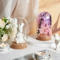 thumbnail image 5 of 2pcs 2pcs Glass Dome Cover with Cork Base 3.1x5.9 Inch Column Glass Dome Display Clear Glass Dome Eternal Flower Glass Display Case Cloche Bell Jar for Flower Storage Home Party Decoration, 5 of 6