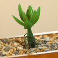 thumbnail image 2 of Coofit Mini Artificial Succulent DIY - Faux Succulent Plant Plastic Greenery Decoration, 2 of 3