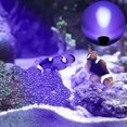 thumbnail image 3 of Projecteur d'Aquarium avec Base IP68 3.5W 12V Lampe Submersible Multicolore Éclairage Angle Réglable Led Lampe sous-Marine Décoration Étang, 3 of 5