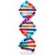 thumbnail image 3 of Expositor de ADN autoensamblable, modelo de doble hélice, juguete de aprendizaje de genes humanos, material didáctico biológico, 3 of 6