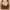 14-Brown, variant on YWDJ Push up Bras for Women Plus Size Closure in Back Lounge Bras Wireless Comfortable Bras Adjustable Straps Full Coverage Wrap Bras Padded Comfort Bras Solid Sleep Bras Blue 40
