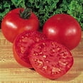 thumbnail image 1 of Burpee Graines de Tomate Big Boy 125 Graines, 1 of 3