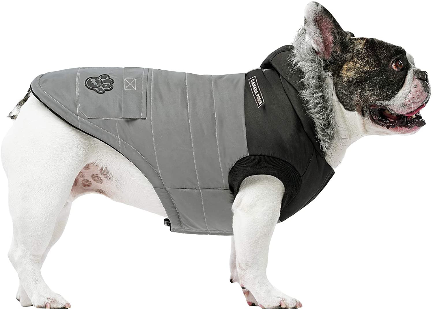 warmest dog coat ever
