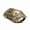 Bronze, variant on Elegant Bagua Turtle Shell Incense Burner - Chinese Aromatherapy Plate for Tea Room, Home, Office, and Yoga Studio
