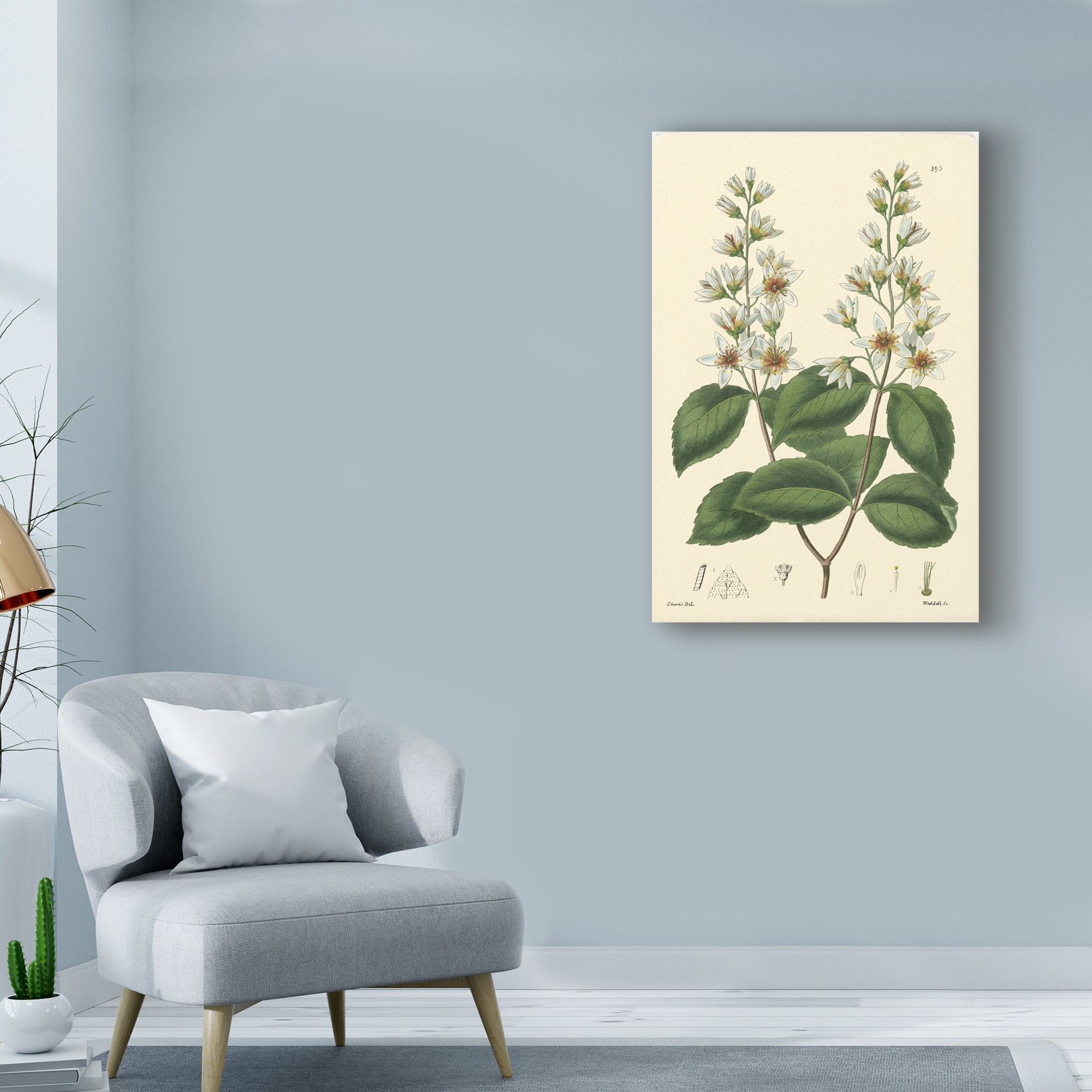 Trademark Fine Art 'White Curtis Botanical II' Canvas Art by Vision Studio