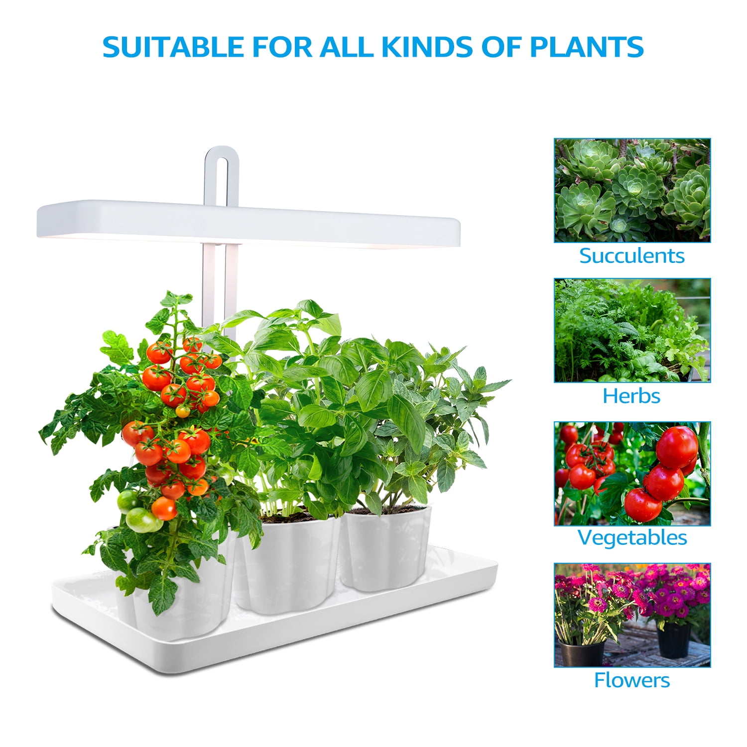 TORCHSTAR Plant Grow LED Light Kit, Indoor Herb Garden with Timer Function, 24V Low Voltage, Indoor Harvest Elite for Gourmet or Plant Enthusiasts, Rosemary, Lavender, Pots & Plants Not Included