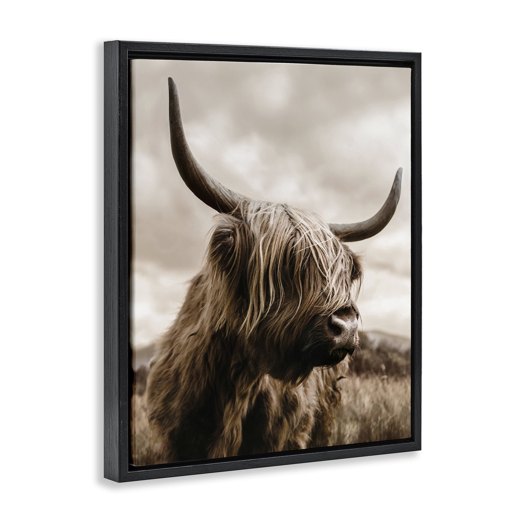 Stupell Industries Highland Cow on Windswept Moor Black Framed Floater Canvas Wall Art, design by CAD Designs