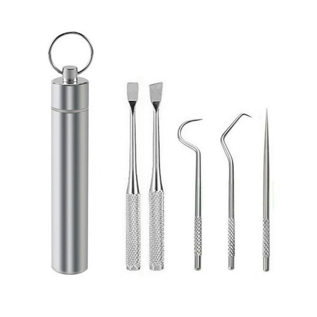 Cure-dents Professionnel Réutilisable Solide Résistant à l'Usure Nettoyage Facile Soins Bucco-Dentaires Réduire la Plaque Cure-Dents en Acier Inoxydable Ensemble d'Outils de Nettoyage pour Usage Quotidien