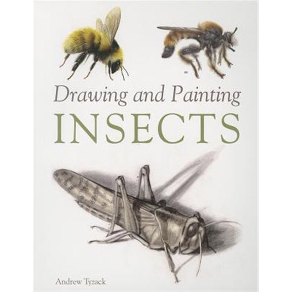 Pre-Owned Drawing and Painting Insects (Paperback)