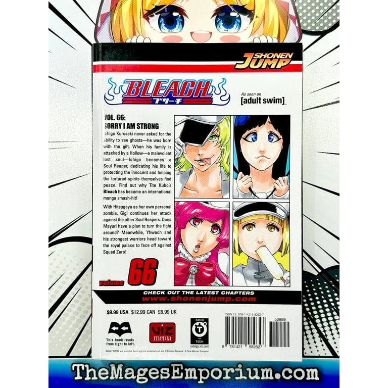 Bleach, Vol. 66 Binding: Paperback - Walmart.com