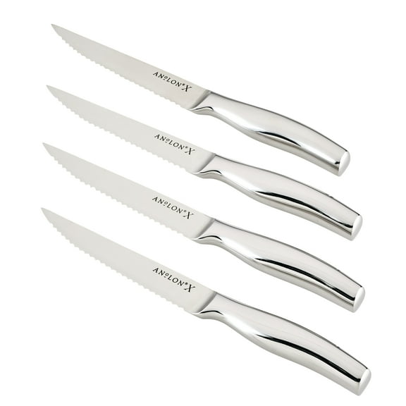Anolon Japanese Stainless Steel Steak Knife Set 4 Pieces 1 ea