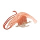 thumbnail image 2 of Juguetes de simulación de Naturaleza Camarones rojos 9.5x9x1.7cm Hugo Niños Ciencia Naturaleza, 2 of 10