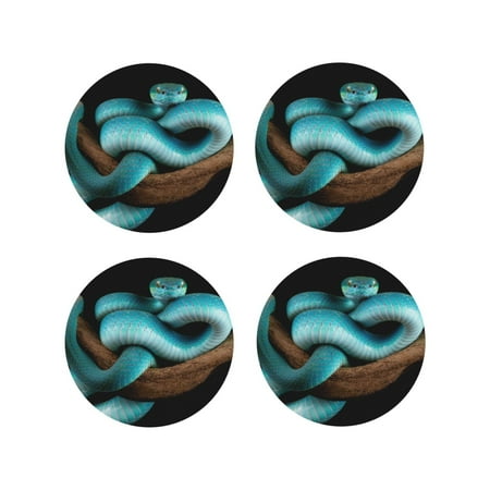 

Tebeau Blue Viper Snake Print Set of 4 Leather Drink Coasters Round Cup Mat Pad for Home and Kitchen Use 4 -Round Shape