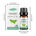 thumbnail image 3 of Natural Soothing Mint Oil Pure For Fresh Invigorating Daily Care Blend For Face Body Aromatherapy Mentha Piperita Oil [10ML], 3 of 4