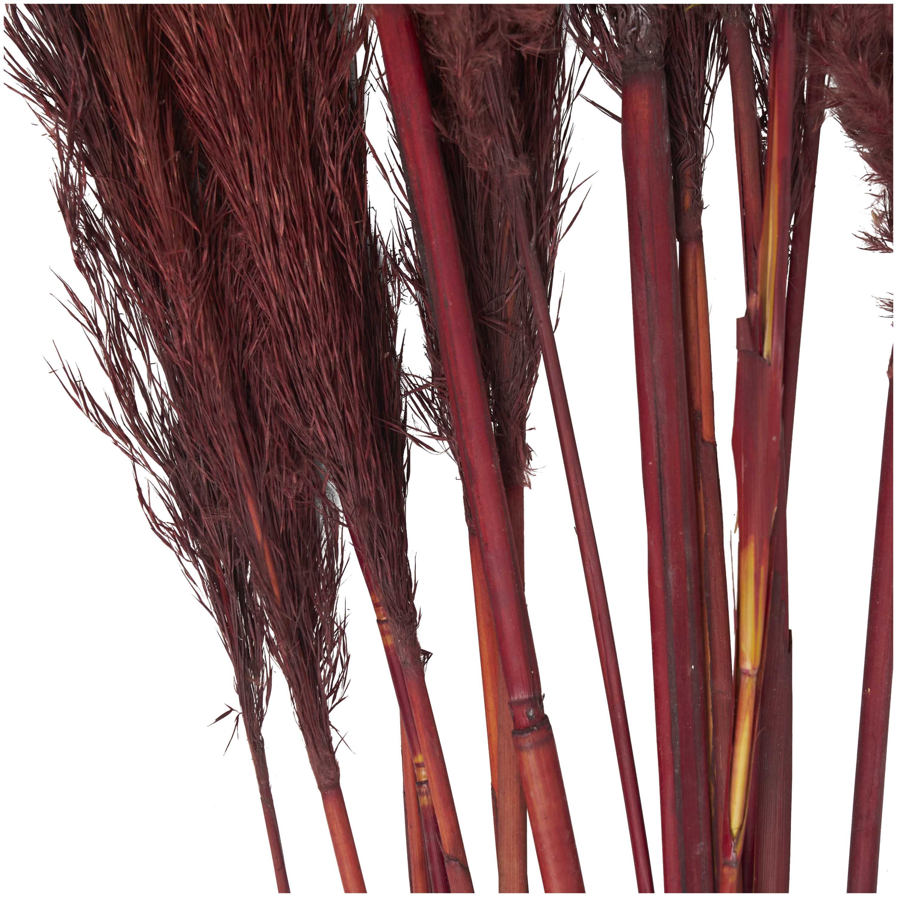 43" Dried Plant Natural Foliage Pampas Grass Bouquet with Long Stems, by DecMode