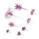 thumbnail image 4 of 8 unids Simulaciones Suculentas Plantas Artificiales Suculenta Decoración (Violeta), 4 of 5