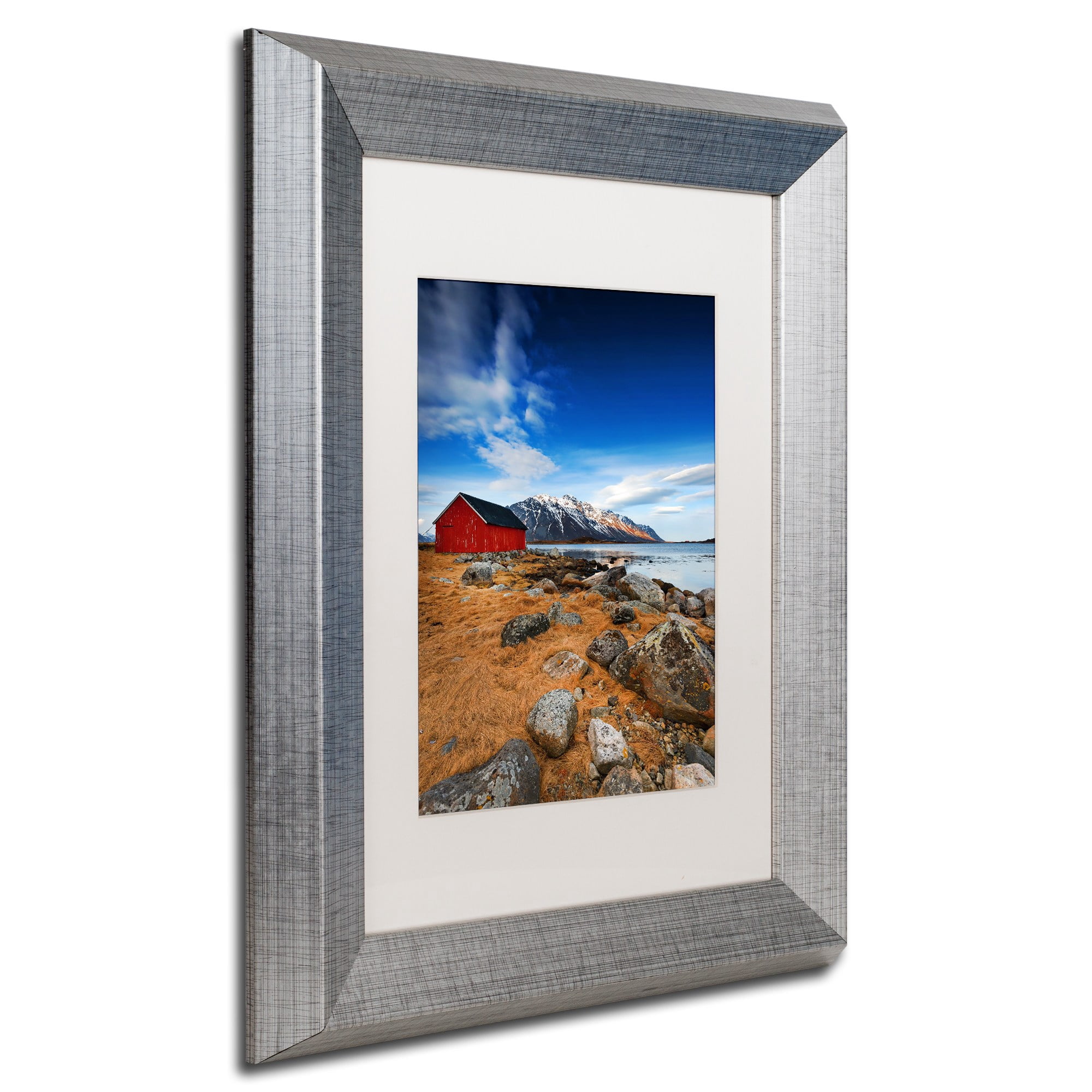 Trademark Fine Art "Endure" Canvas Art by Philippe Sainte-Laudy, White Matte, Silver Frame