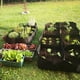 thumbnail image 4 of Bolsa Rectangular para Plantar Fieltro para Verduras, Flores, Bolsillos Elevados para de Jardín, Bolsas Cuadradas de Rejilla Múltiple para Cultivo de Plantas S, 4 of 5