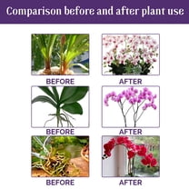 BANIRO Orchid Plant Food Suitable For All Indoor Plants,Promoting Growth And Flowering,Liquid Fertilizer 50Ml