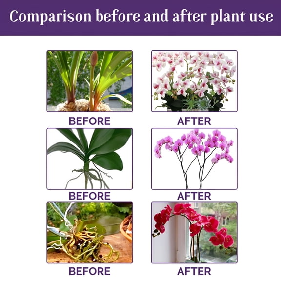 BANIRO Orchid Plant Food Suitable For All Indoor Plants,Promoting Growth And Flowering,Liquid Fertilizer 50Ml