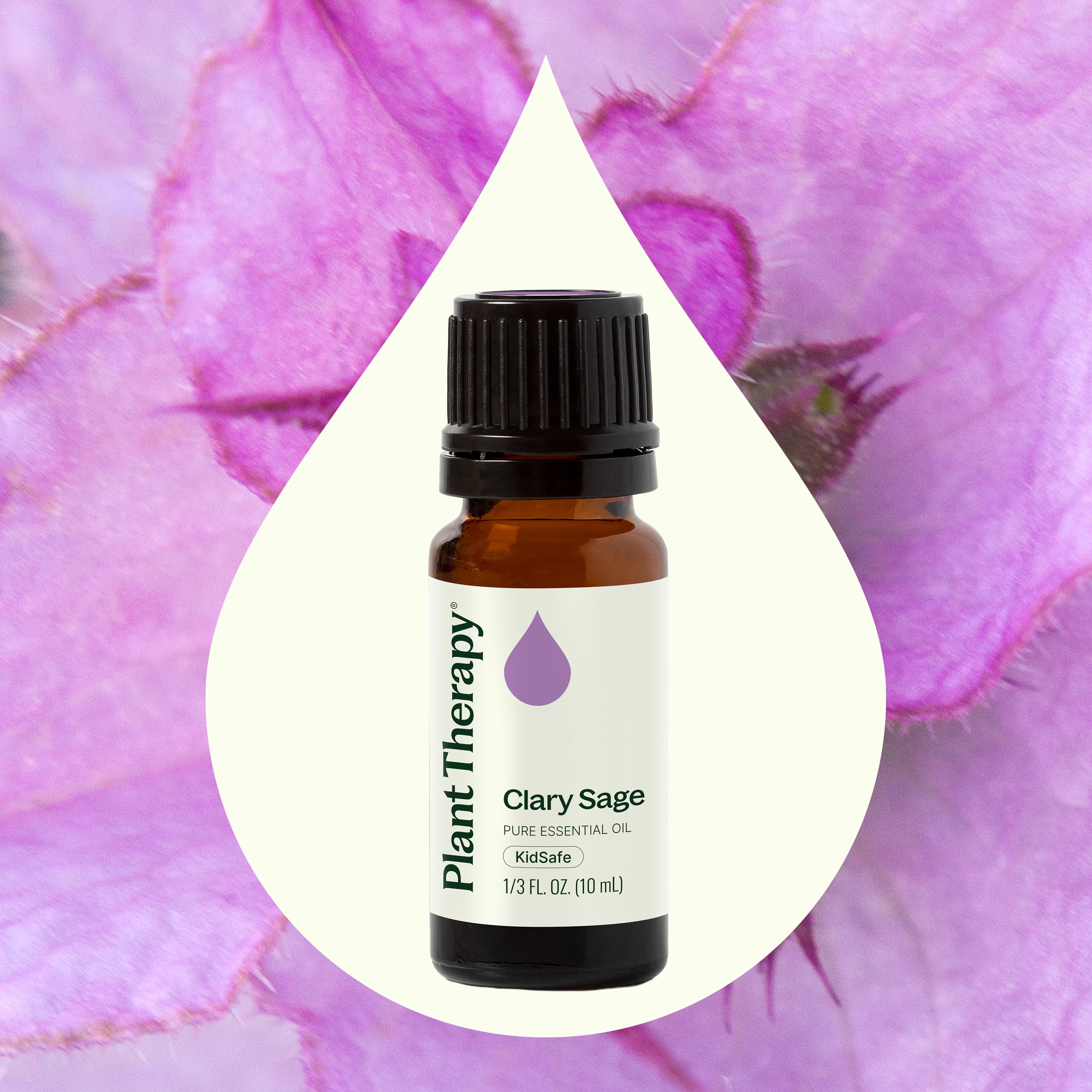 Plant Therapy Clary Sage Essential Oil 100% Pure, Undiluted, Natural Aromatherapy 10 mL (1/3 oz)