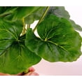 thumbnail image 5 of Morttic 2PCS 14'' Artificial Geraniums Silk Flowers Plants Home Outdoor Decor Garden Window Box, 5 of 5