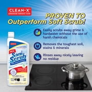 Sani-Scrub Multi Surface Cleanser & Stain Remover 24 oz (2 pack)