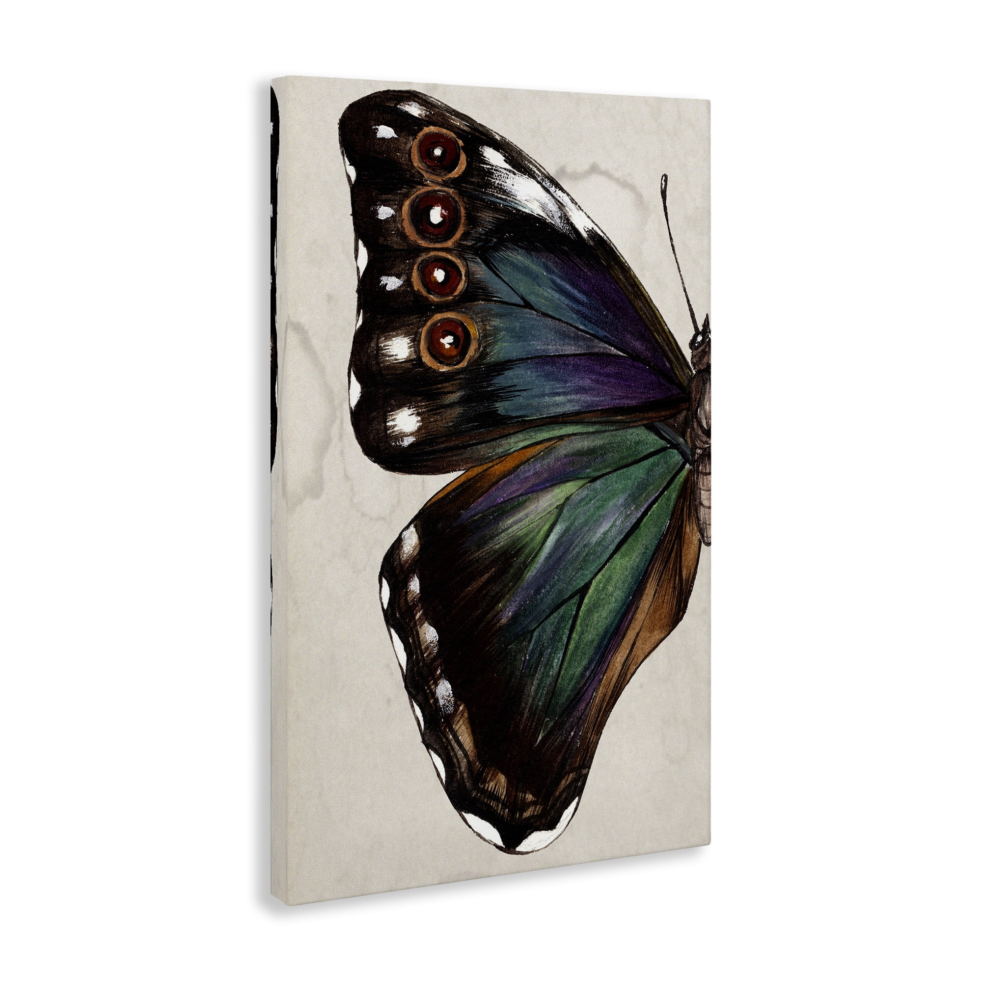 Stupell Industries Traditional Butterfly Wing Animals & Insects Painting Gallery Wrapped Canvas Art Print Wall Art, 16 x 24