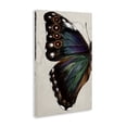 thumbnail image 3 of Stupell Industries Rustic Lodge Traditional Butterfly Wing Canvas Art, 16 x 24, by Melissa Wang, 3 of 8