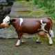 thumbnail image 3 of Figura de vaca Simmental atractiva decorativa creativa de Pvc modelo de ganado para granja, 3 of 5