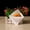 White 12x12cm, variant on 100Pcs Oil Proof White Paper Bag Sandwich Donut Disposable Takeaway Food Coated Greaseproof Fried Chicken Burger Packing