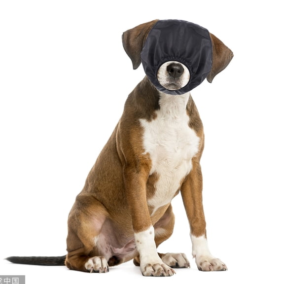 ELAYARD 1-Pack Multi-Functional Black Nylon Pet Eye for Shading and Blow Drying