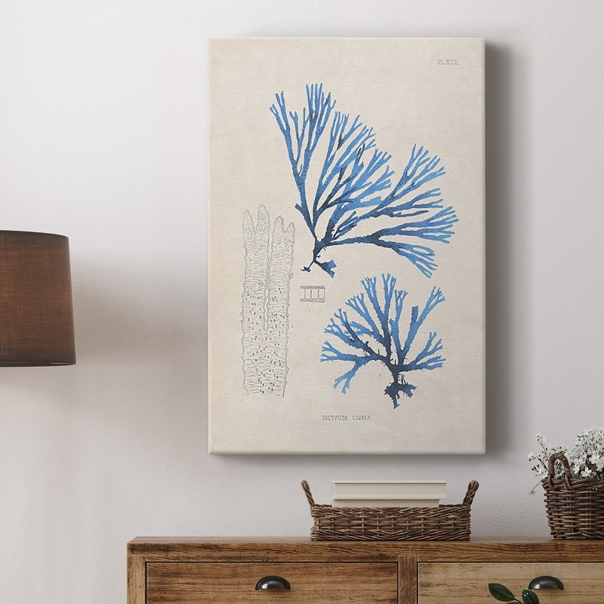 Blue Marine Algae V Premium Gallery Wrapped Canvas - Ready to Hang