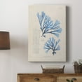 thumbnail image 5 of Blue Marine Algae V Premium Gallery Wrapped Canvas - Ready to Hang, 5 of 9