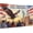 300（difficulty）, variant on Puzzles for Adults 300 Pieces USA Independence Day 250th Anniversary of the United States Statue Liberty Bald Eagle Wooden Decor Decompress Funny Game Holidays Wall Art Gift Jigsaw Puzzle