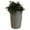 Khaki, variant on Good Ideas Imp-L50-Kha Impressions Palm Rain Barrel, 50 Gallon, Khaki