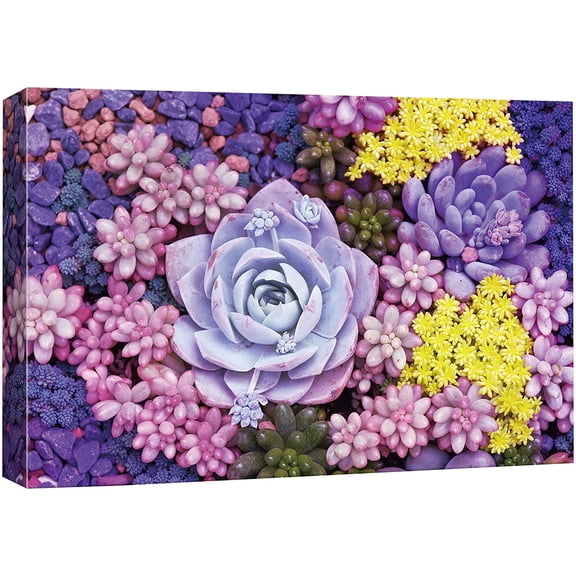 IDEA4WALL Canvas Wall Art Bouquet of Yellow, Purple, Pink and Violet Small Echeveria Cactus Botanical Succulent Digital Art Realism Farmhouse/Country for Living Room, Bedroom, Office - 12"x18"