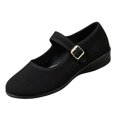 thumbnail image 2 of Willtoo Women's Mary Jane Flats with Strap,Round Toe Mesh Fabric Ballet Flat Shoes Shallow Toe Elegant Solid Color Casual Shoes, 2 of 6