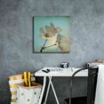thumbnail image 4 of Epic Graffiti 'Spring Sings' by Dawn D Hanna, Giclee Canvas Wall Art, 18"x18", 4 of 8