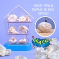thumbnail image 2 of El juguete STEM Thames & Kosmos sorprende en el mundo: Crystal Geodes, 2 of 6