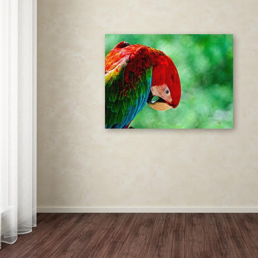 Trademark Fine Art "Colorful Macaw" Canvas Art by Lois Bryan