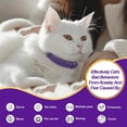 thumbnail image 5 of Collar Clearance! Cat Calming Collar, 3-Pack Pheromone Calming Collars for Cats – Adjustable 15″, 60-Day Lasting Stress & Anxiety Relief, Helps Reduce Noise Fear, Scratching & Separation Anxiety, 5 of 8